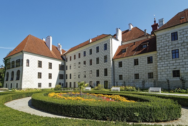 Muži v politice